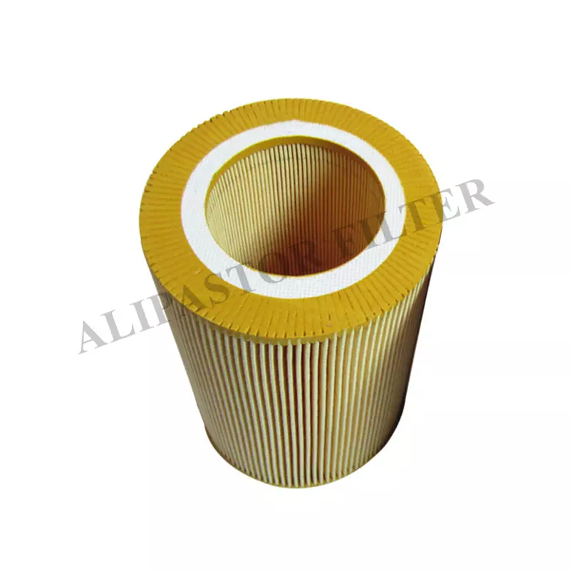 100001611 compressor air filters 9250001A replace