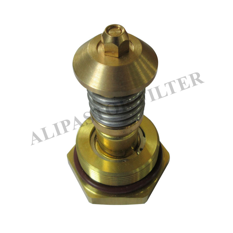 39441944 compressor temperature control valve