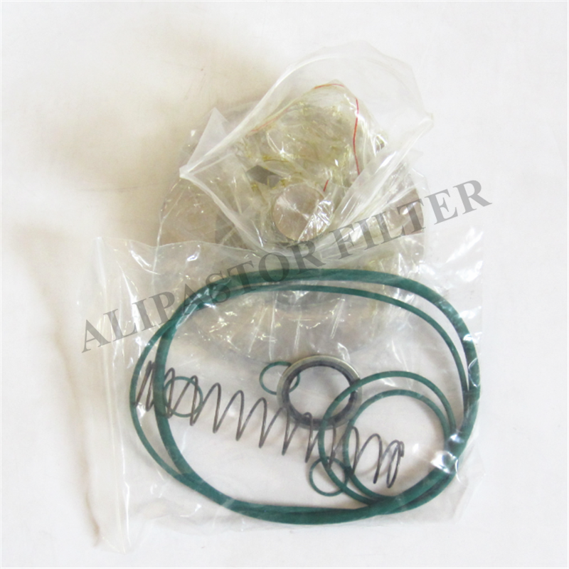 2906069300 Oil Stop Valve Repair Kit 9210299P replace