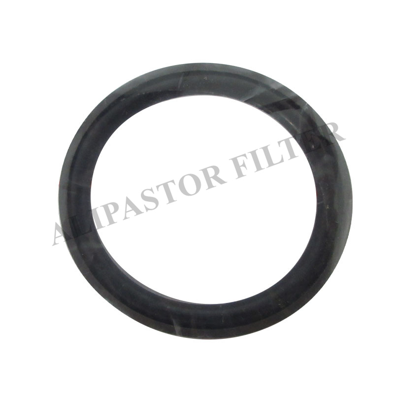20513030 compressor cap seal 9270010P replace