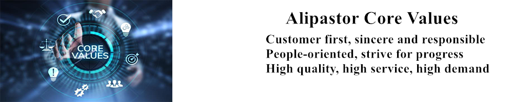 Alipastor core values